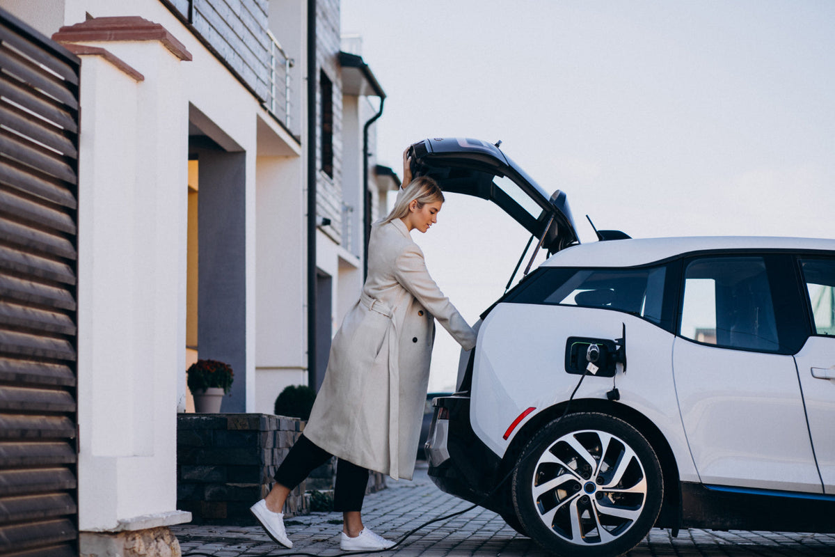 elektrische auto prijzen
